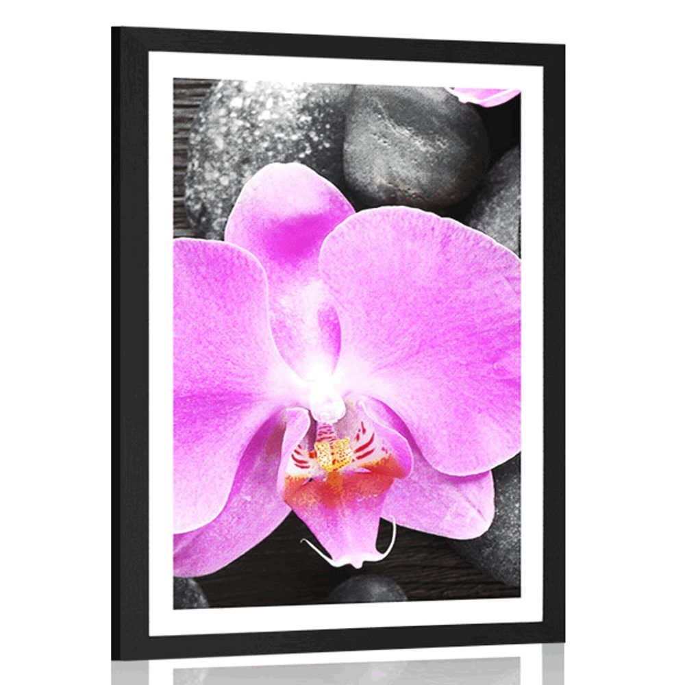 Plagát s paspartou nádherná orchidea a kamene - 60x90 black