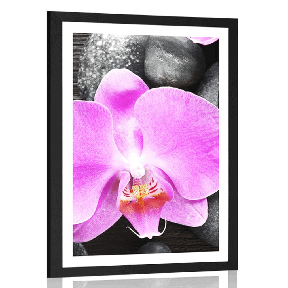 Plagát s paspartou nádherná orchidea a kamene - 30x45 black