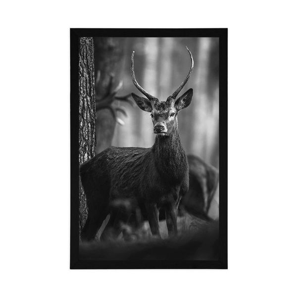 Plagát jeleň v lese v čiernobielom prevedení