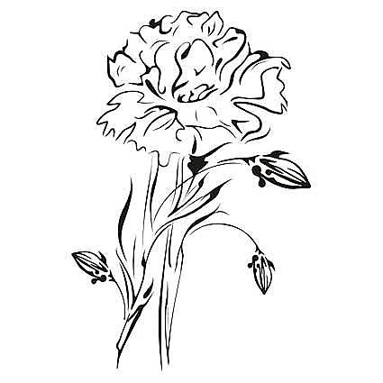 Nálepka Rozkvitnutý Kvet Narcis _fl5-64