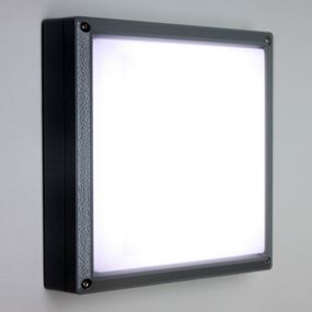 Akzentlicht SUN 11 – nástenné LED svetlo 13 W antracitová 4K, Chodba, odliatok hliníkovej zliatiny, polykarbonát, P: 27 cm, L: 27 cm