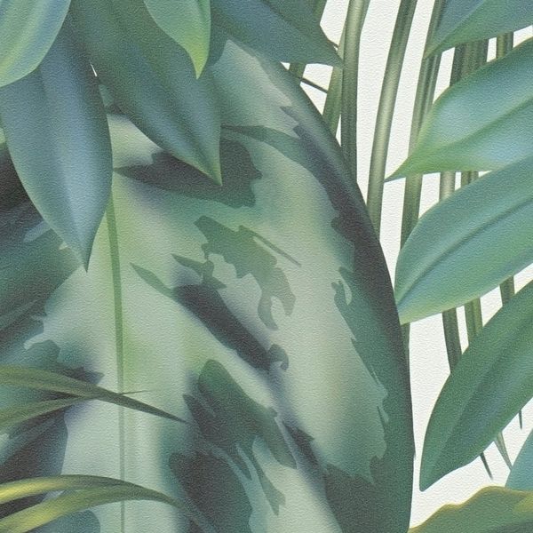 38720-1 A.S. Création vliesová tapeta na stenu AS Rovi 2022-2024, fíkus, palmové listy, džungľa, veľkosť 10,05 m x 53 cm