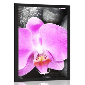 Plagát nádherná orchidea a kamene - 40x60 black