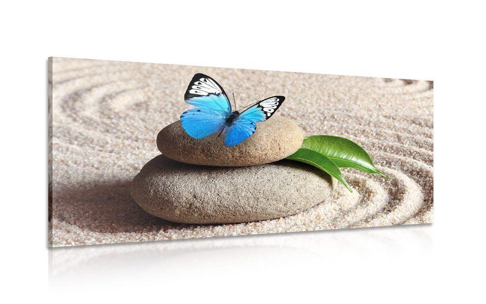Obraz modrý motýľ na Zen kameni - 120x60
