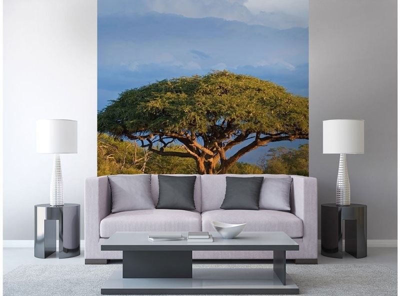 MS-3-0097 Vliesová obrazová fototapeta Acacia Tree, veľkosť 225 x 250 cm