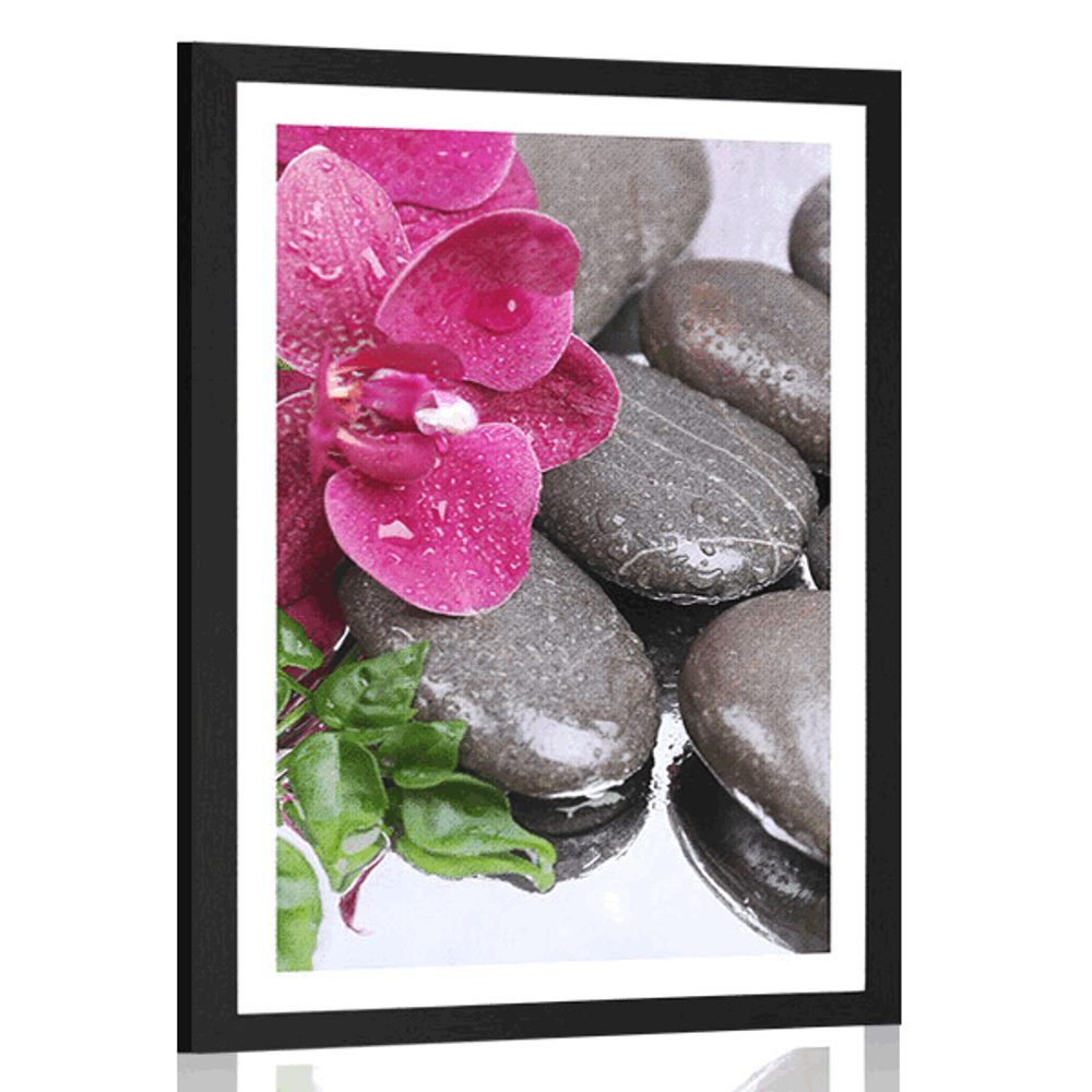 Plagát s paspartou kvitnúca orchidea a wellness kamene - 40x60 black