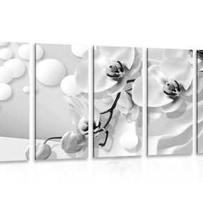 5-dielny obraz čiernobiela orchidea na abstraktnom pozadí