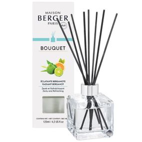 Maison Berger Paris Aróma Difúzer Cube, Bergamot 125 ml 6889