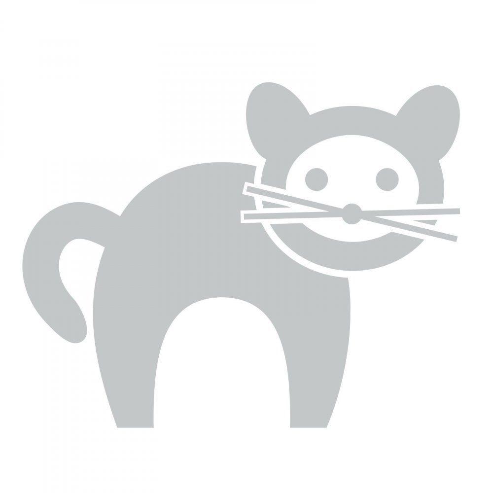 Pieris design Mačka - detské nálepky na stenu tyrkysová