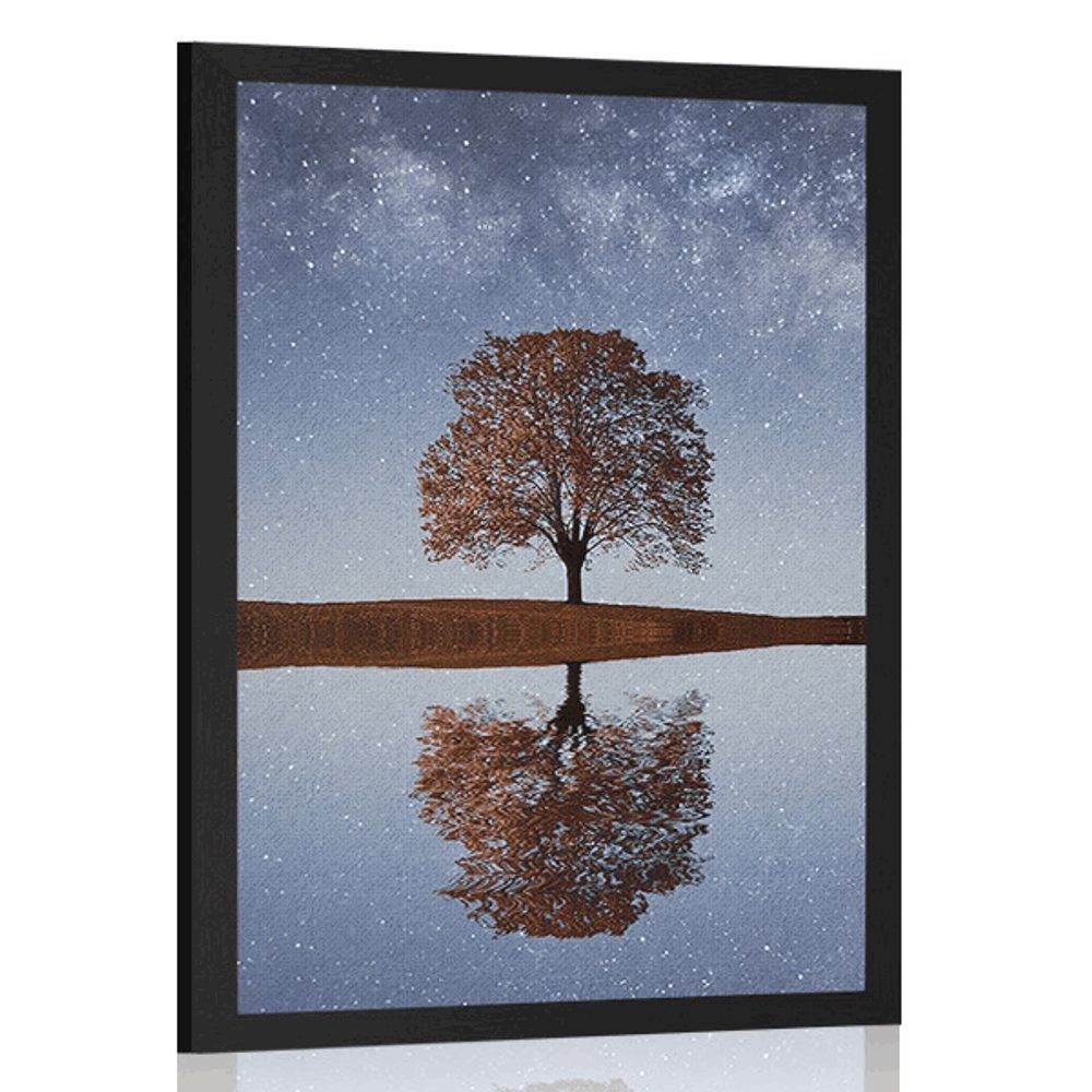 Plagát hviezdna obloha nad osamelým stromom - 40x60 black