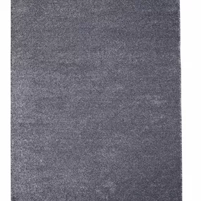 Vopi koberce Kusový koberec Apollo Soft antra - 200x300 cm