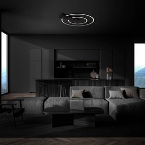 Briloner Stropné LED svetlo Nico Duo 3 000 K okrúhle čierna, Obývacia izba / jedáleň, kov, plast, 25W, L: 55 cm, K: 4cm