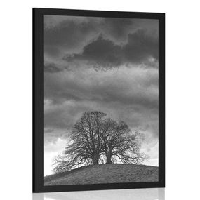 Plagát čiernobiele osamelé stromy - 40x60 black