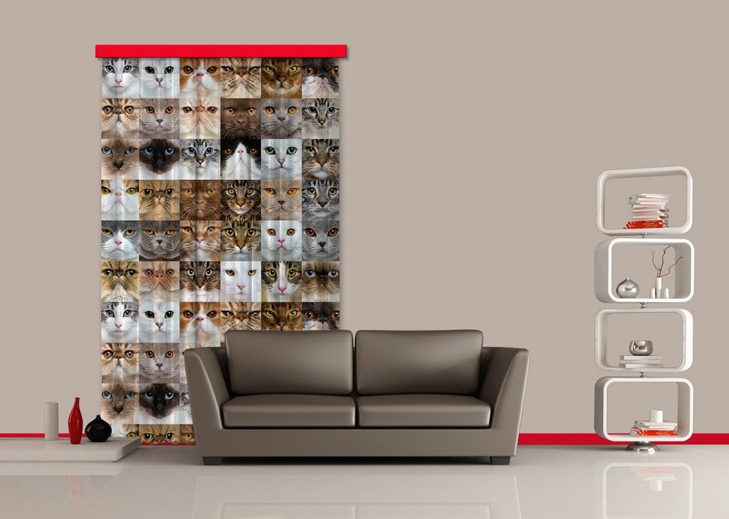 FCP L 6567 AG Design textilný foto záves obrazový Cats - Mačky FCPL 6567, veľkosť 140 x 245 cm