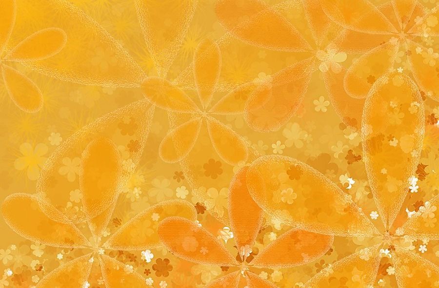 Fototapeta oranžová s kvetmi FS0266