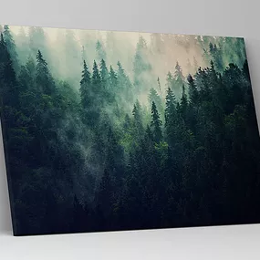 Obraz Ranná hmla nad lesom zs1209