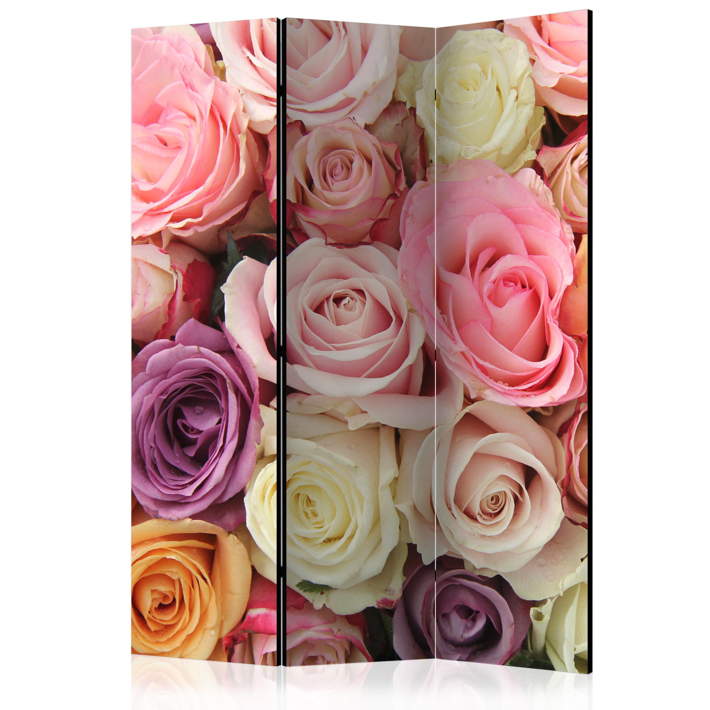 Artgeist Paraván - Pastel roses [Room Dividers]