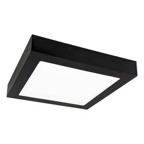 LED Stropné svietidlo FENIX LED/18W/230V 2800K 22,5 cm