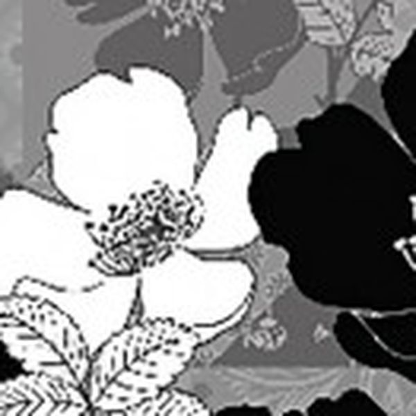 WB 8239 AG Design Samolepiace bordúra na stenu Black Flowers - Čierne kvety, veľkosť 14 cm x 5 m