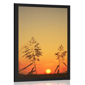 Plagát steblá trávy pri západe slnka - 40x60 black