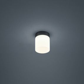 Helestra Keto stropné LED svetlo, valec, čierna, Kúpeľňa, oceľ, satinované opálové sklo, 6W, K: 12.5cm