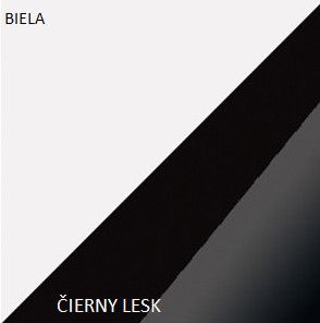 WIP MAX 05 Biela / čierny lesk