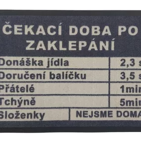 GDmats koberce Rohožka Čakacia doba 40x60 cm - 40x60 cm