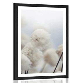 Plagát s paspartou arktické kvety bavlny - 20x30 black