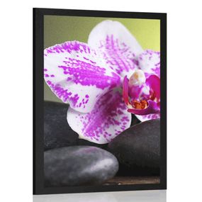 Plagát orchidea a čierne kamene - 60x90 black