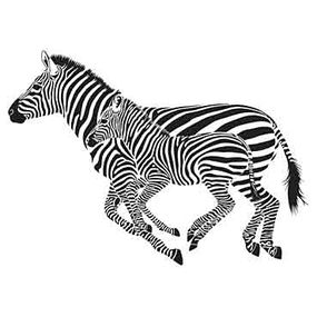 Nálepka na stenu - Zebra a mláďa _exa106