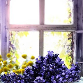 Fototapeta Vintage lavender window 33168336 - samolepiaca na stenu