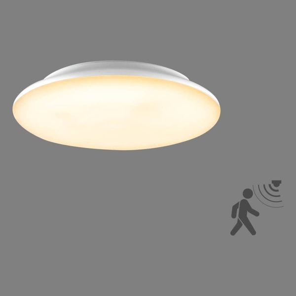 EVN Catino stropné LED svietidlo, snímač, 30 cm, Kúpeľňa, plast, 18W, K: 6cm