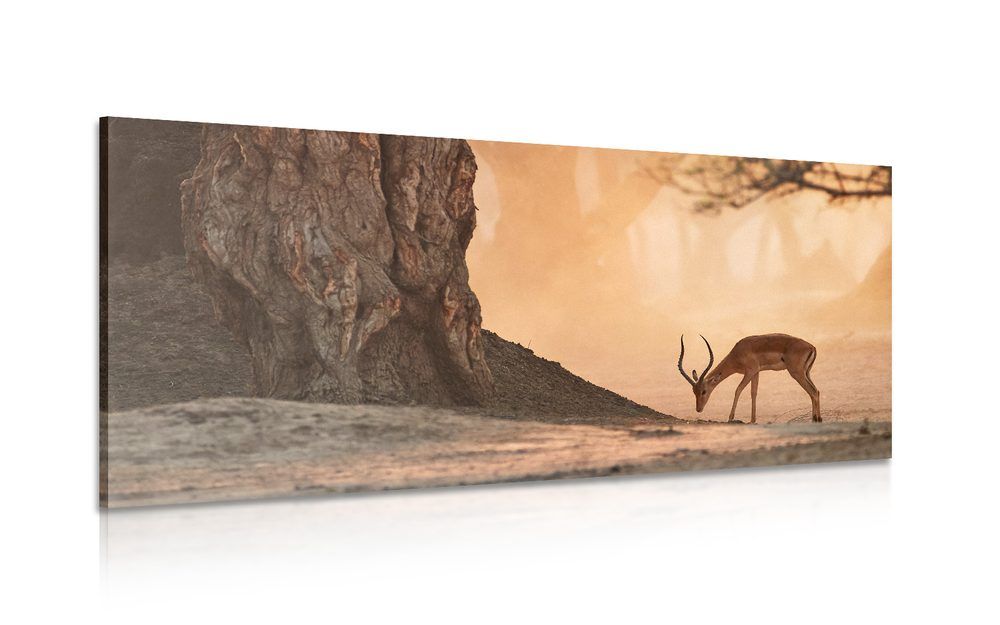 Obraz krásna africká antilopa - 120x60