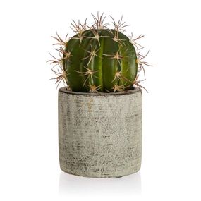 HOME DECOR Kaktus v betonovém květináči 9,5 x 16 cm, zelený