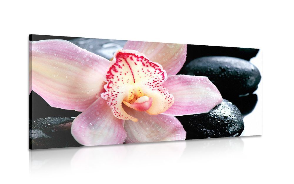 Obraz Spa orchidea - 120x60