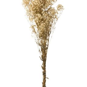 Zväzok prírodnej sušenej trávy Gypsophila - 10*5*84 cm