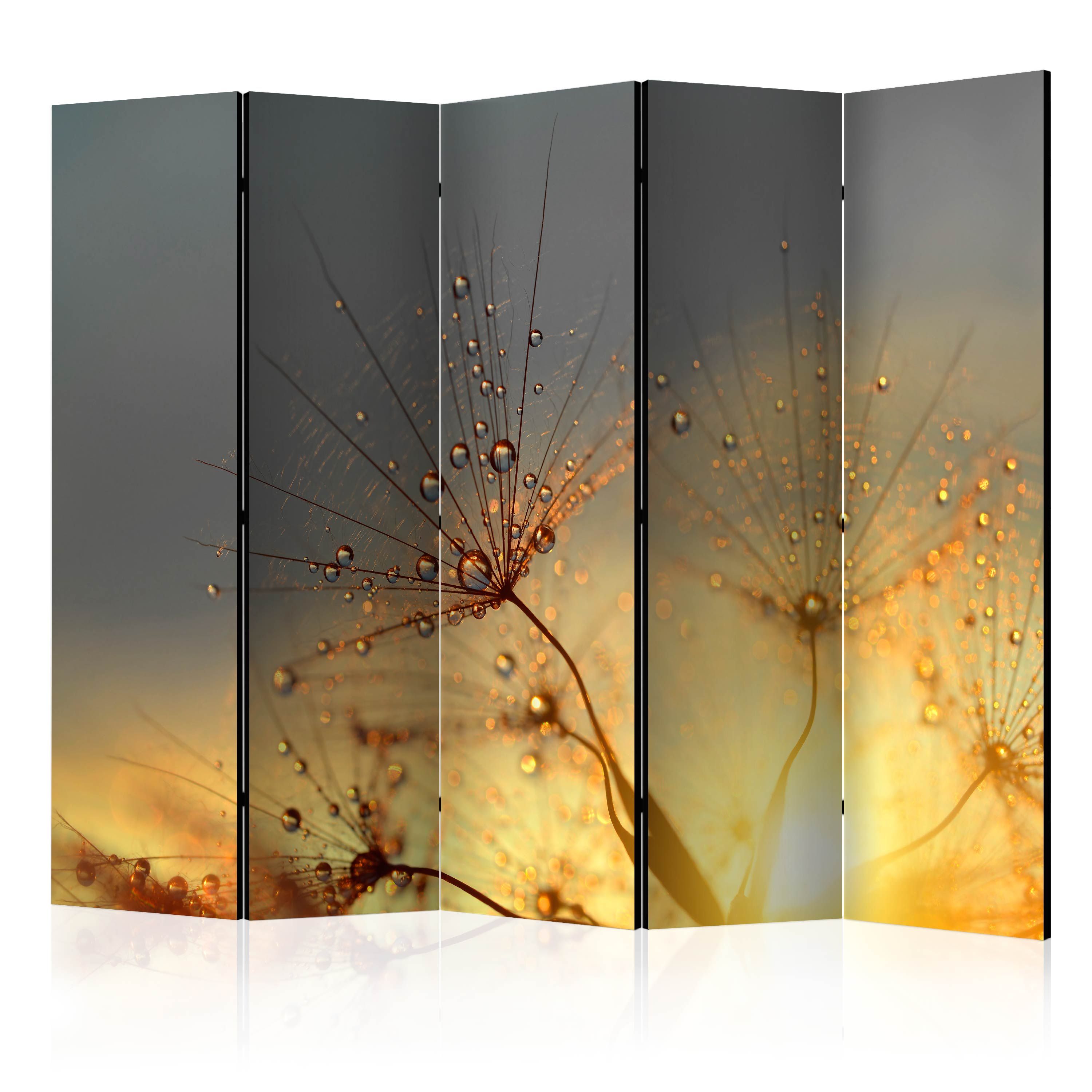 Artgeist Paraván - Summer Solstice II [Room Dividers]