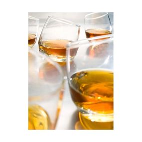 Sada 6 hojdajúcich sa pohárov na whisky Sagaform