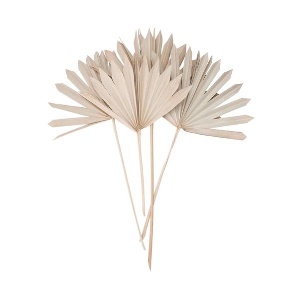 Butlers FLOWER MARKET Sušený palmový list 4 ks 60 cm
