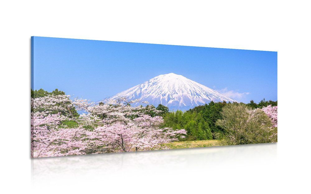 Obraz hora Fuji - 120x60