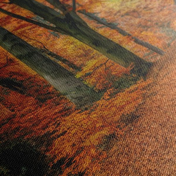 Obraz les v jesennom období - 60x40