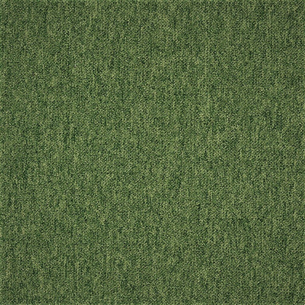 Kobercový štvorec Coral 58376-50 zelený - 50x50 cm