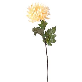 Chryzantéma kus krémová 60x17cm 1500364