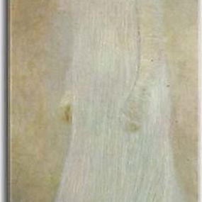 Portrait of Serena Lederer Obraz Klimt zs16797