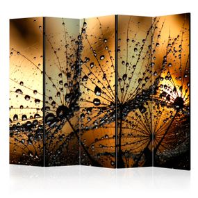 Artgeist Paraván - Dandelions in the Rain II [Room Dividers]