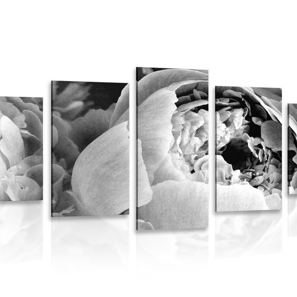 5-dielny obraz čiernobiele lupienky kvetu - 100x50