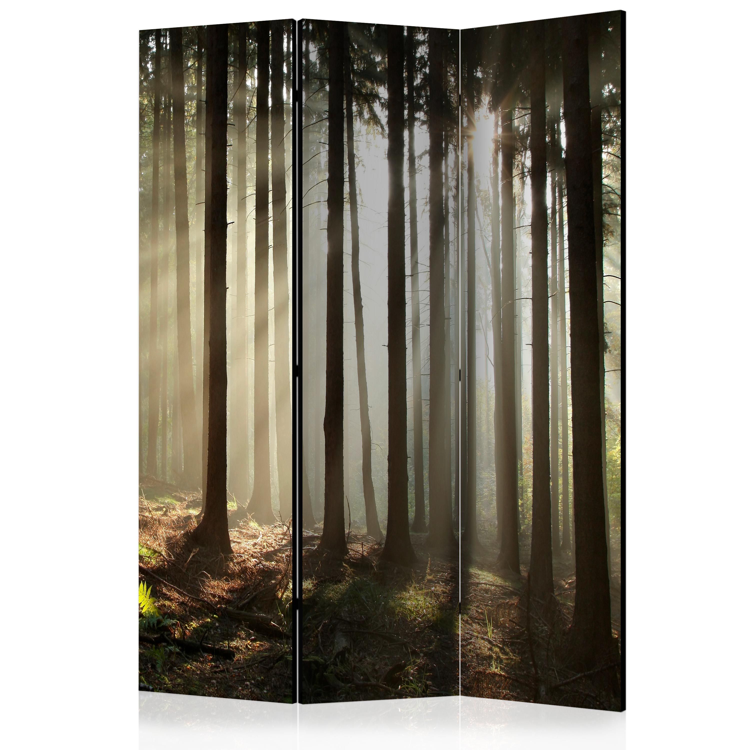 Artgeist Paraván - Coniferous forest [Room Dividers]