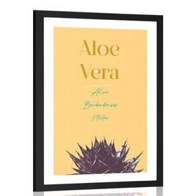 Plagát s paspartou a štýlovým nápisom Aloe Vera - 60x90 black