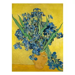 Reprodukcia obrazu Vincenta van Gogha - Irises, 60 × 45 cm