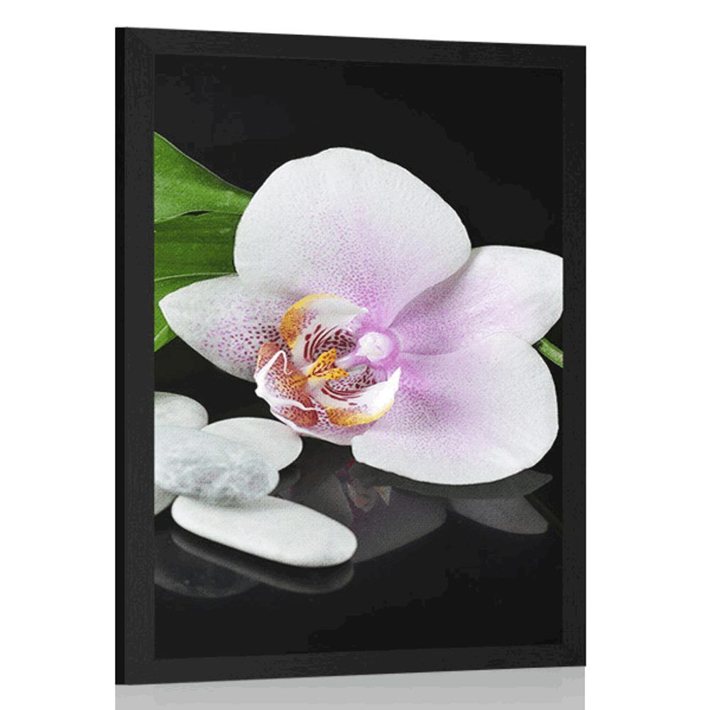 Plagát zen kamene a orchidea - 30x45 black